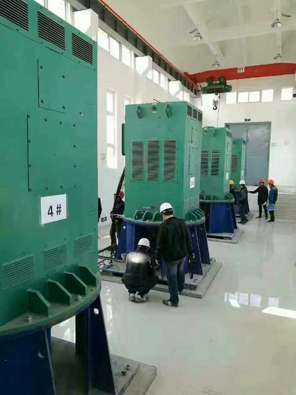 慈利某污水处理厂使用我厂的立式高压电机安装现场生产厂家